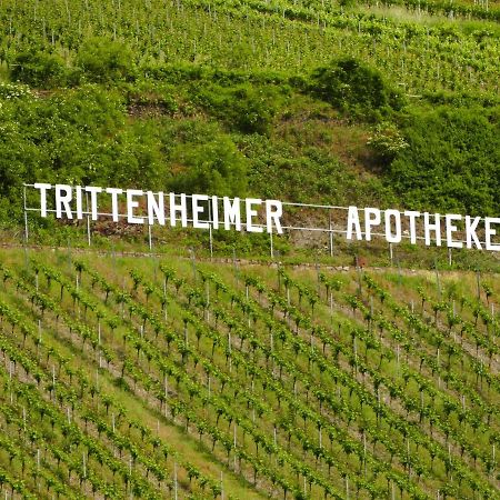 Katrin-Cara Mia Ferienwohnung Trittenheim Zewnętrze zdjęcie